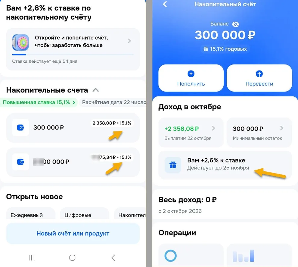 Неочевидные фишки НС от Озон Банка